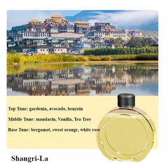 Home Decor Desktop Diffuser Aromatherapy Machine USB Smart Air Purifier with Display for Car Bathroom Air Deodorization Shangri-la