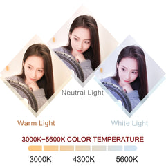 26cm 10 inch Led Ring Selfie Light Dimmable Photography Lighting Kit Usb Charge Lamp With Tripod For Live Video 120 Lamp Beads