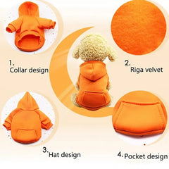 Puppy Pet Hooded Sweatshirt Autumn Winter Two-legged Pocket Cat Dog Clothes Pet Shop Pet Clothing