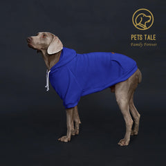 Solid Color Dog Hoodie with Pocket, Leather Patch, Hook and Loop Fastener Pet Shop
 Pet Clothing