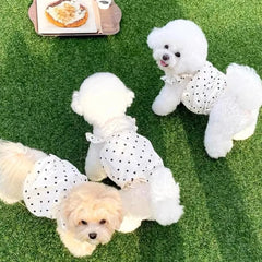 Cute Pet Dog Dress Dot Dog Summer Clothes Puppy Skirt Chihuahua Bichon French Bulldog Clothing Thin Girl Dog Costume Pet Shop Pet Clothing