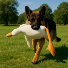 Large Plush White Duck Dog Toys Realistic Goose Design Dolls Suitable for Dogs Chew and Play Best Pet Supplies Pet Shop