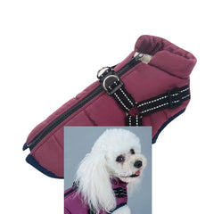 Customizable Winter Dog Clothes GWT330600