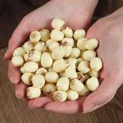 10pcs 1:1Realistic Dried White Lotus Seeds Fake Natural Dry Fruit Decor for DIY Crafts Home Display Photography Props Zen Decor