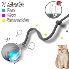2PCS Smart Cat Rolling Ball Toys – Rechargeable Mouse Imitation Pet Shop