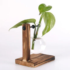 Glass Hydroponic Plant Terrarium Vase – Desktop Home Decor