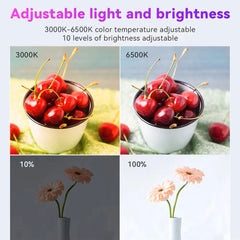 10inch RGB LED Photo Studio Light Remote Control For Game Live Video Lighting Camera PortaVideo Recording Photography Panel Lamp