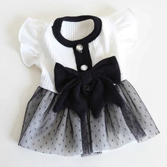 Bow Dog Princess Dress Dog Clothes Summer Black White Luxury Striped Skirt Dog Vest Chihuahua Bichon Yorkie Clothing for Dogs Pet Shop Pet Clothing