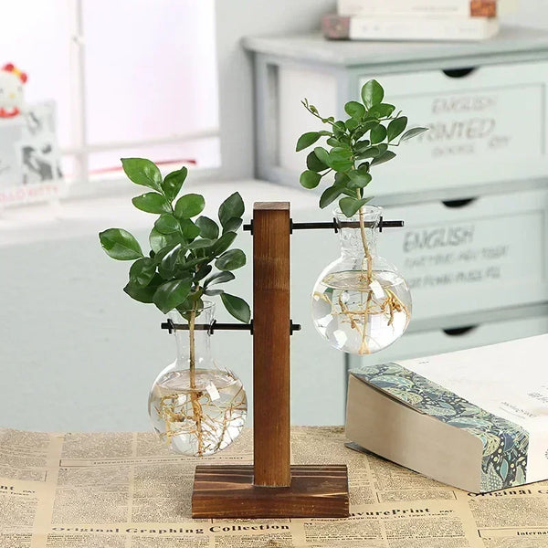 Glass Hydroponic Plant Terrarium Vase – Desktop Home Decor