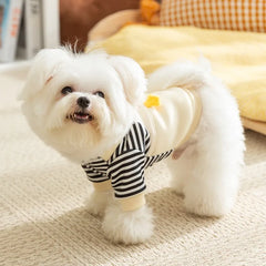 Thin Autumn Winter Dog Hoodies Cute Dog Clothes 2025 Girls Dog Outfit Pet Dog Coat with D-Ring Puppy Sweatshirt Chihuahua Jacket Pet Shop Pet Clothing