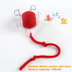 New Cat Interactive Ball Toy,Automatic Rolling Cat Ball Rechargeable,Smart Kitten Interactive Toy,Intelligent Balls Toy for Cat Pet Shop