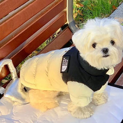 Pet Warm Cotton Coat Two-legged Dog Clothes Thickened Teddy Down Jacket Small to Medium Dog Cute Winter Pet Shop Pet Clothing
