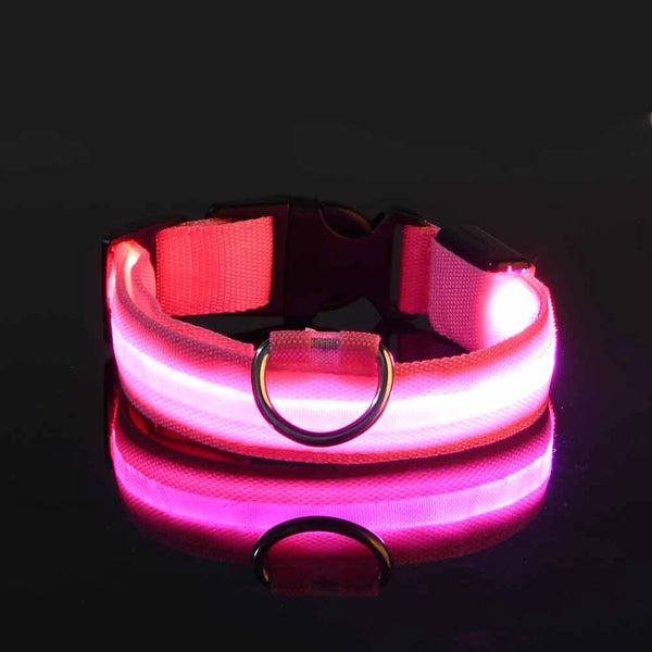 Nylon LED Night Safety Flashing Glow In The Dark Dog Leash Dogs Luminous Fluorescent Pet Dog Collar Pet Shop