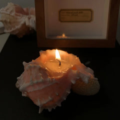 Conch Scented Candle (Handmade) - Home Decoration Ornaments For Bedroom & Living Room Tabletop Holiday Gifts