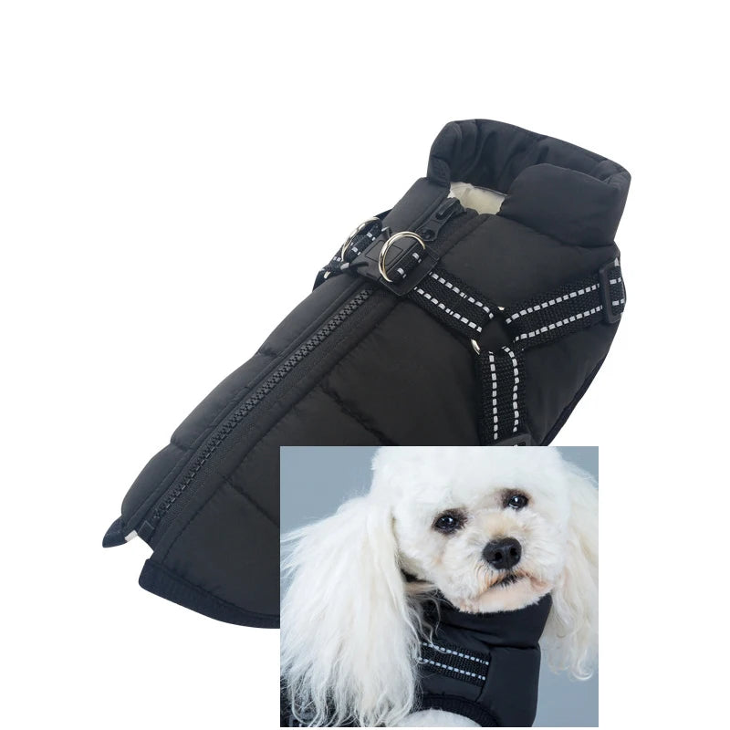 Customizable Winter Dog Clothes GWT330600