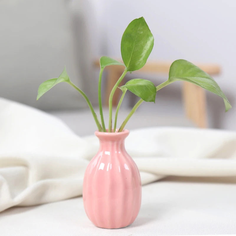 Ins Ceramics Flower Vase Nordic Hydroponics Vases Creative Room Decor Mini Flower Bottle Pots Table Ornament Colorful Vase