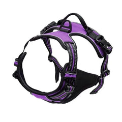 Dog Collars Harness Big Vests Leash Pet Shop Everything for Dogs Leather Puppy Accessories Medium Small Set Pet Shop