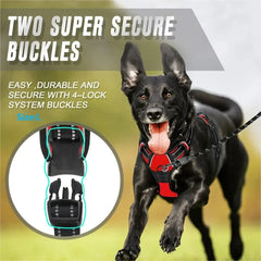 Dog Collars Harness Big Vests Leash Pet Shop Everything for Dogs Leather Puppy Accessories Medium Small Set Pet Shop