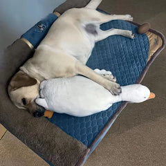 Large Plush White Duck Dog Toys Realistic Goose Design Dolls Suitable for Dogs Chew and Play Best Pet Supplies Pet Shop