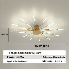 Nordic Ceiling Lighting for Living Room Bedroom Kitchen Led Ceiling Light Fixture Indoor Home Firework Decor Ceiling Lights