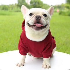 Fashion Dog Clothing Autumn And Winter Small Pet Clothes Thickening Warm Solid Color Two-Feet Hooded Wweater Casual Pet Shop Pet Clothing