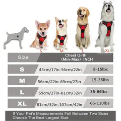 Dog Collars Harness Big Vests Leash Pet Shop Everything for Dogs Leather Puppy Accessories Medium Small Set Pet Shop