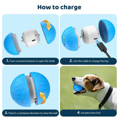 Smart Interactive Dog Toy Ball – USB RGB Rolling Ball Pet Shop