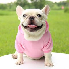 Fashion Dog Clothing Autumn And Winter Small Pet Clothes Thickening Warm Solid Color Two-Feet Hooded Wweater Casual Pet Shop Pet Clothing