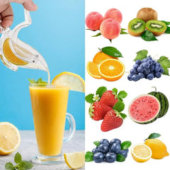 Bird Shaped Manual Lemon Juicer