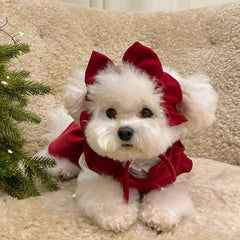 Puppy Bow Knot Dress Set Winter Warm Dog Clothes Pet Christmas Princess Dress Teddy Solid Color Skirt Send Clip Pet Shop Pet Clothing