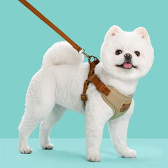 Pet Dog Harness Leash Set Small Medium Dog Cat Vest Breathable Puppy Chest Strap French Bulldog Chihuahua Harness Pet Supplies Pet Shop