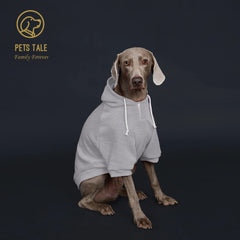 Solid Color Dog Hoodie with Pocket, Leather Patch, Hook and Loop Fastener Pet Shop
 Pet Clothing