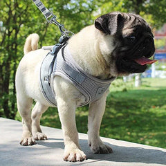 Vest Harness Leash Adjustable Mesh Vest Dog Harness Collar Chest Strap Leash Harnesses With Traction Rope XS/S/M/L/XL Pet Shop