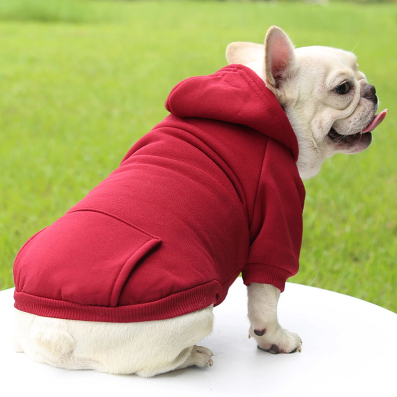 Fashion Dog Clothing Autumn And Winter Small Pet Clothes Thickening Warm Solid Color Two-Feet Hooded Wweater Casual Pet Shop Pet Clothing