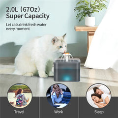 2L Automatic Cats and Dogs Water Fountain with LED Lighting USB Pet Water Dispenser with Recirculate Filtring for Pet Feeder