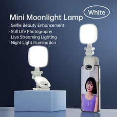 Portable LED Selfie Fill Light Photography Adjustable Brightness Mobile Led Light Clip For Phone Laptop Tablet Meeting Make Up