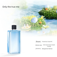 Fragrance atomizer, aromatherapy machine, digital display, 7-speed adjustable, Shangri-La, Hilton, only the true self Home Decor fragrance