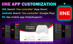 IINE Retro Pocket Chronos Controller Nintendo Layout, Hall Effect Joysticks, 1000Hz Polling Rate,Portable for Switch/PC/Mobile