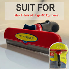 Pet Grooming Brush for Dogs & Cats – Hair Removal & Massage Comb Pet Shop