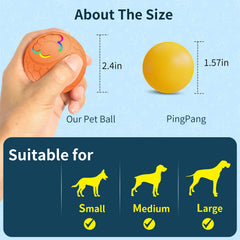 Smart Interactive Dog Toy Ball – USB RGB Rolling Ball Pet Shop