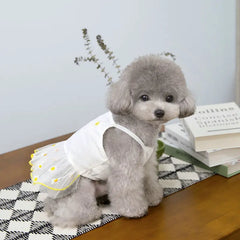 Cute Pet Dog Dress for Small Dogs Thin Puppy Princess Skirt Dog Clothes Chihuahua York Clothing Pet Shop Pet Clothing