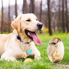 Personalized Dog Cat ID Tag Bling Rhinestone Puppy Kitten Name Tags Anti-lost Pet Collar Accessories Free Engraved Pet Products