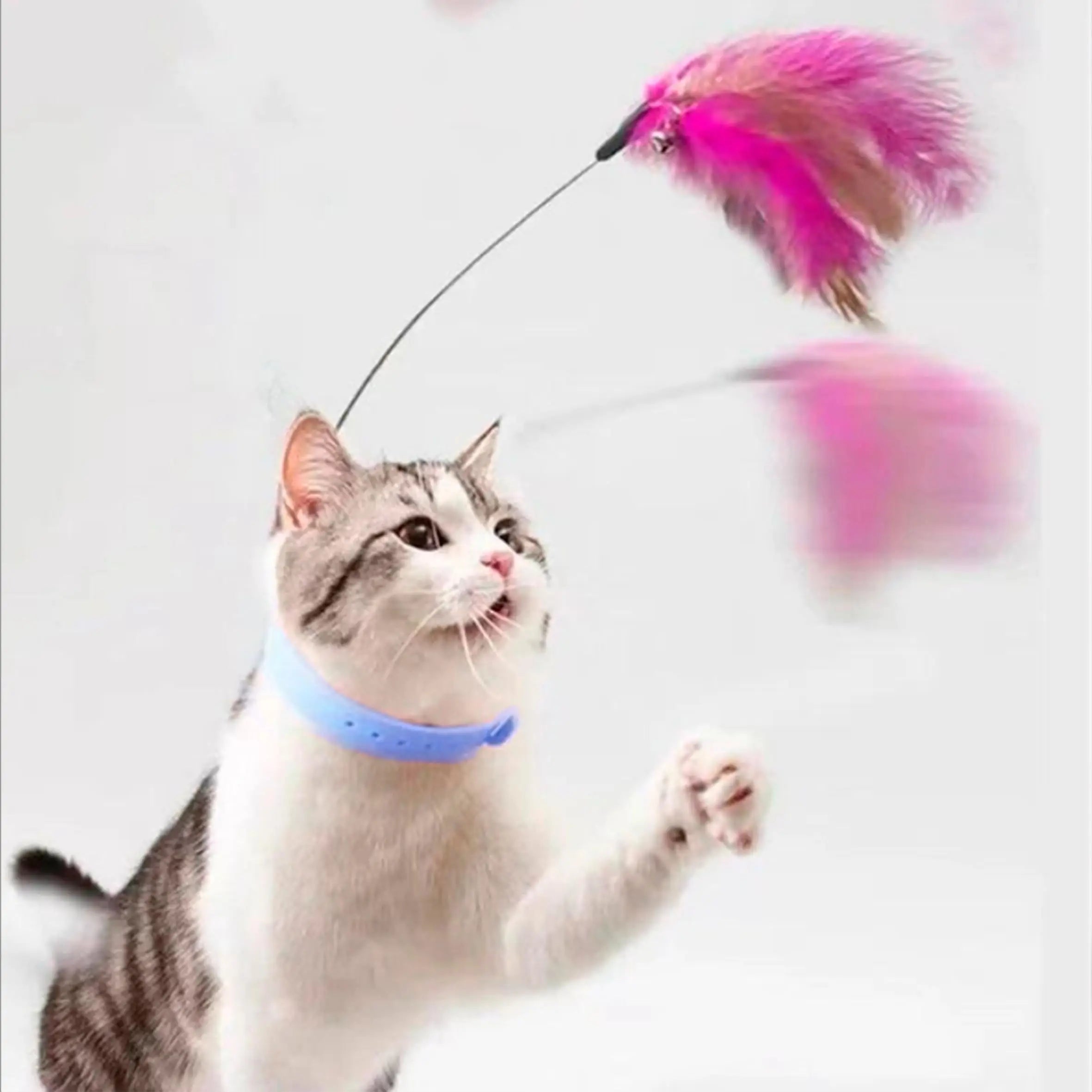 Cat Feather Collar Toy, Interactive Toys for Indoor Cats Self Play Funny Teaser Wand Neck Toy Feathers with Bell Pet Shop