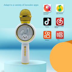 TWS Bluetooth-compatible Karaoke Microphone Wireless magic sound Microfone TF Speaker Sing Mic For Children Lovely Gift