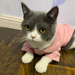 Christmas Pet Cat Costume Clothes for Cats Winter Kedi Katten Sphynx Sweatshirt Hoodie Suit Mascotas Clothing Ropa Para Gato Pet Shop
 Pet Clothing