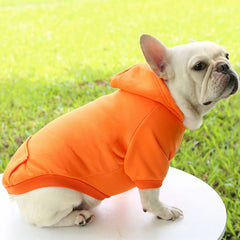 Fashion Dog Clothing Autumn And Winter Small Pet Clothes Thickening Warm Solid Color Two-Feet Hooded Wweater Casual Pet Shop Pet Clothing