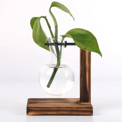 Glass Hydroponic Plant Terrarium Vase – Desktop Home Decor