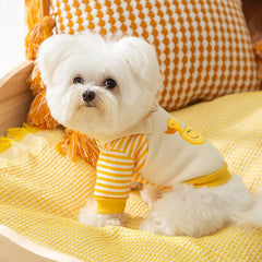 Thin Autumn Winter Dog Hoodies Cute Dog Clothes 2025 Girls Dog Outfit Pet Dog Coat with D-Ring Puppy Sweatshirt Chihuahua Jacket Pet Shop Pet Clothing