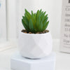Artificial Succulent Bonsai Plants Simulation Succulents Mini Evergreen Bonsai Cactus Succulent Plastic Fake Plants Decor - A