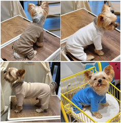 Fashion Winter Pet Dog Clothes Solid Color Cotton Dogs Sweaters Chihuahua Puppy Medium Dogs Knitting Sweatershirt Costume Pet Shop
 Pet Clothing